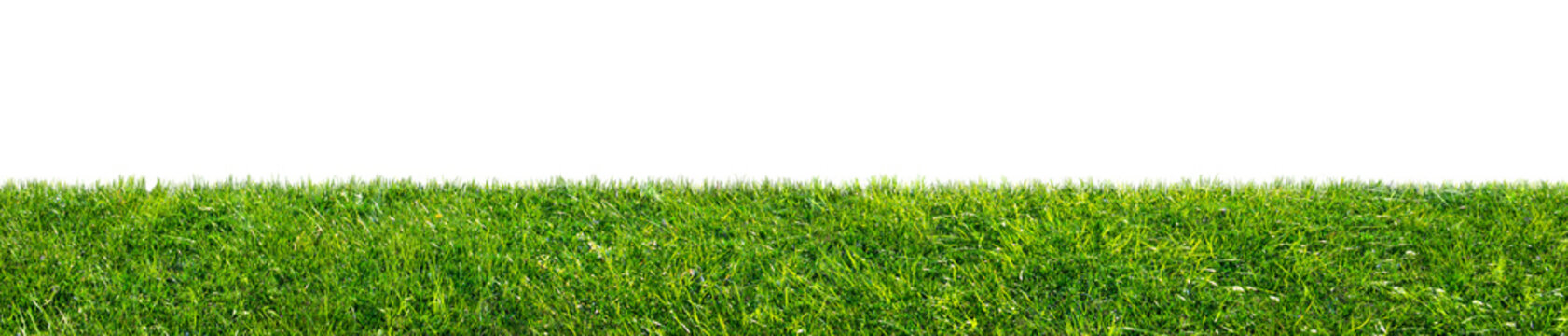 green grass field isolated on transparent background, png