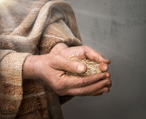 Farmer holds grains in his hands