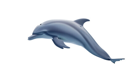 Isolated dolphin isolated on white background.