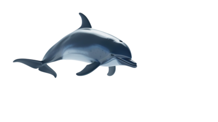 Isolated dolphin isolated on white background.