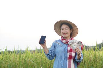 Happy Asian woman farmer is at paddy field, wear hat, blue shirt, holds smartphone, Thai banknotes money. Concept, Agriculture occupation. Thai farmer. Profit, income. Online apps for promote product.