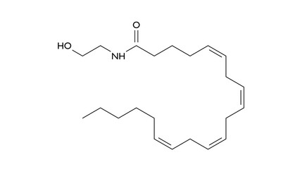 Obraz premium anandamide molecule, structural chemical formula, ball-and-stick model, isolated image fatty acid neurotransmitter
