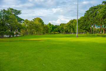 Obraz premium Green meadow grass tree park blue sky with cloud