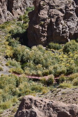 Passarela no meio da mata no vale