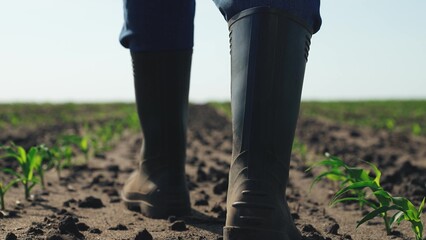 Farmer walks through agricultural field. Feet legs of male businessman in rubber boots walking in...