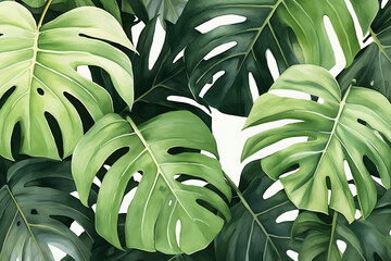 Seamless pattern with monstera leaves. Realistic vector illustration.