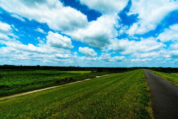 利根川サイクリングロード