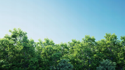Obraz premium sky, tree, nature, landscape, forest, green, clouds, summer, trees, grass, blue, cloud, field, day, park, hill, environment, outdoors, mountain, spring, countryside, meadow, nobody, pine, scenery
