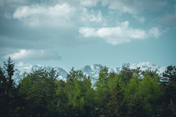 Berglandschaft hinter Waldlichtung