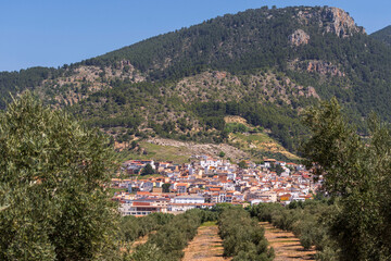 Fototapeta premium Orcera, view of the town between olives, Jaén province, Andalusia, Spain