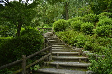 stone staircase in the garden