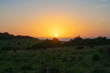 atardecer en el campo