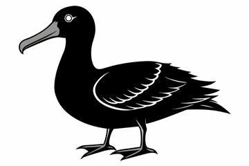 Albatross silhouette on white background, Vector illustration,icon,svg,characters,Holiday t shirt,Hand drawn trendy Vector illustration