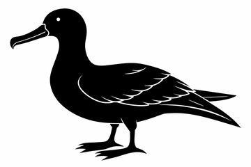 Albatross silhouette on white background, Vector illustration,icon,svg,characters,Holiday t shirt,Hand drawn trendy Vector illustration