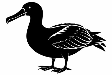 Albatross silhouette on white background, Vector illustration,icon,svg,characters,Holiday t shirt,Hand drawn trendy Vector illustration