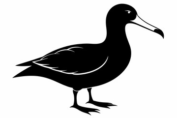Albatross silhouette on white background, Vector illustration,icon,svg,characters,Holiday t shirt,Hand drawn trendy Vector illustration