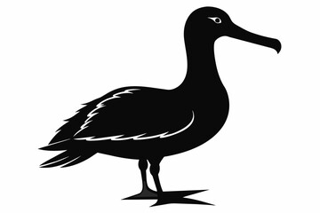 Albatross silhouette on white background, Vector illustration,icon,svg,characters,Holiday t shirt,Hand drawn trendy Vector illustration