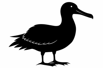 Albatross silhouette on white background, Vector illustration,icon,svg,characters,Holiday t shirt,Hand drawn trendy Vector illustration