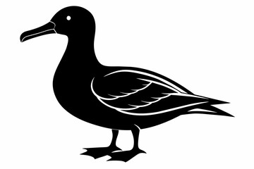 Albatross silhouette on white background, Vector illustration,icon,svg,characters,Holiday t shirt,Hand drawn trendy Vector illustration