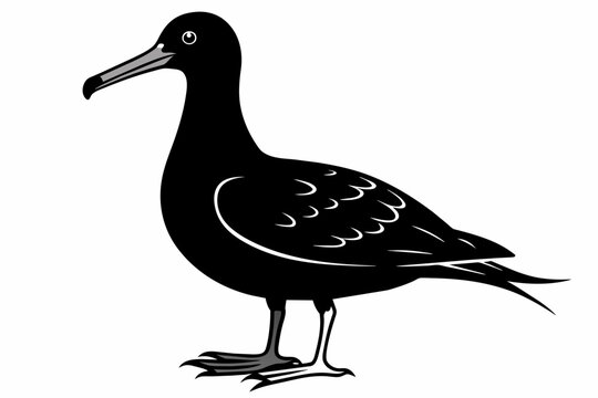 recommend clip art: Albatross silhouette on white background, Vector illustration,icon,svg,characters,Holiday t shirt,Hand drawn trendy Vector illustration