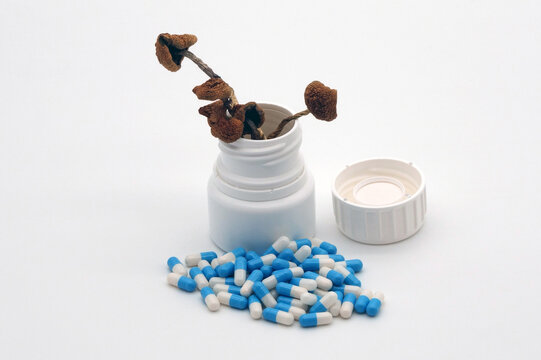 Psilocybin mushrooms next to regular medicine.