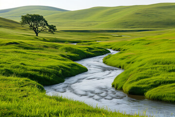 Serenity in nature. Rolling green hills and meandering streams of the countryside