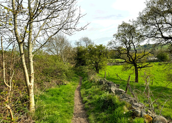 A narrow dirt path meanders through a lush green landscape, dotted with trees, shrubs, and a stone wall to the left near, Smithy Lane, Wilsden, UK