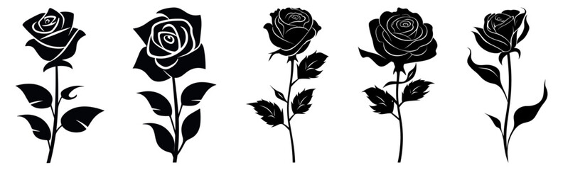Set of roses flowers with leaves. Vector illustration