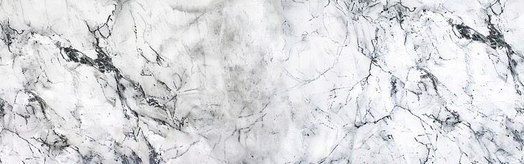Elegant White Marble Texture With Grey Veins