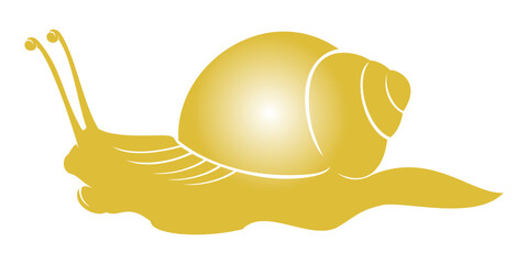 snail vector
