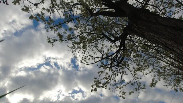 timelapse nuvole in movimento