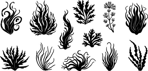 Set de corail plantes sous marines a ajuster pour conception