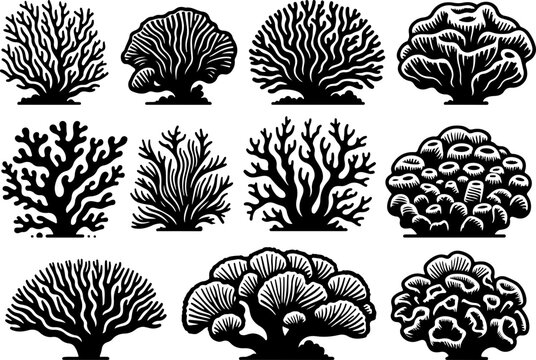 Plante sous marines, corail et algues a ajuster 