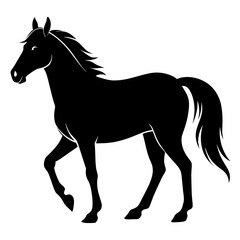 silhouette of a horse