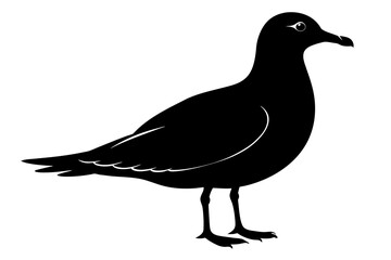 Seagull silhouette on white background, Vector illustration, icon, svg, characters, Holiday t shirt, Hand drawn trendy Vector illustration
