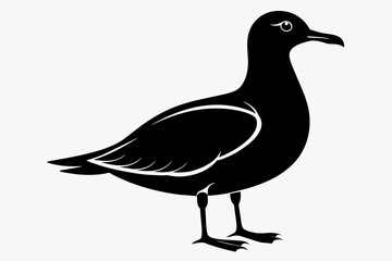 Seagull silhouette on white background, Vector illustration, icon, svg, characters, Holiday t shirt, Hand drawn trendy Vector illustration