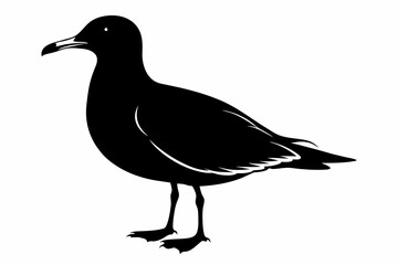 Seagull silhouette on white background, Vector illustration, icon, svg, characters, Holiday t shirt, Hand drawn trendy Vector illustration