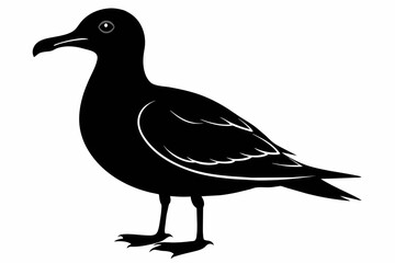 Seagull silhouette on white background, Vector illustration, icon, svg, characters, Holiday t shirt, Hand drawn trendy Vector illustration