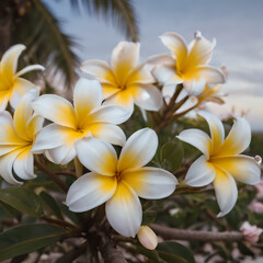 Naklejka premium a two white and yellow flowers on the beach