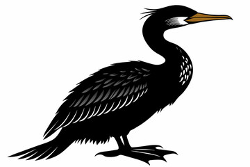 Cormorant silhouette on white background, Vector illustration, icon, svg, characters, Holiday t shirt, Hand drawn trendy Vector illustration