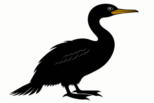 recommend clip art: Cormorant silhouette on white background, Vector illustration, icon, svg, characters, Holiday t shirt, Hand drawn trendy Vector illustration