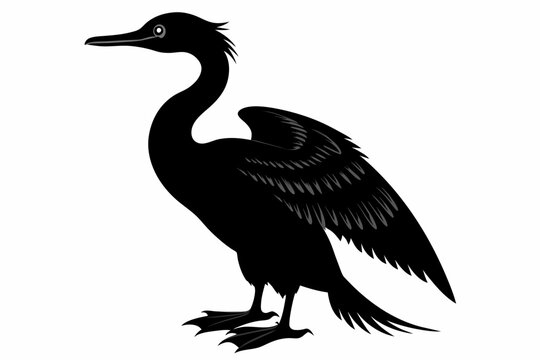 recommend clip art: Cormorant silhouette on white background, Vector illustration, icon, svg, characters, Holiday t shirt, Hand drawn trendy Vector illustration