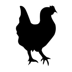 Chicken black vector silhouette