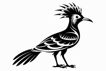 Hoopoe silhouette on white background, Vector illustration, icon, svg, characters, Holiday t shirt, Hand drawn trendy Vector illustration