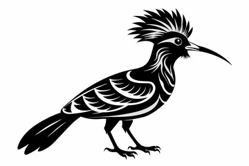 Hoopoe silhouette on white background, Vector illustration, icon, svg, characters, Holiday t shirt, Hand drawn trendy Vector illustration