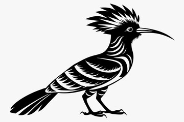 Hoopoe silhouette on white background, Vector illustration, icon, svg, characters, Holiday t shirt, Hand drawn trendy Vector illustration