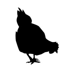 Chicken black vector silhouette