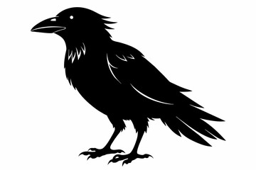 crow silhouette on white background, Vector illustration, icon, svg, characters, Holiday t shirt, Hand drawn trendy Vector illustration