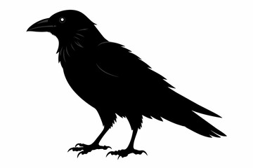 crow silhouette on white background, Vector illustration, icon, svg, characters, Holiday t shirt, Hand drawn trendy Vector illustration