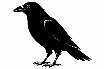 crow silhouette on white background, Vector illustration, icon, svg, characters, Holiday t shirt, Hand drawn trendy Vector illustration